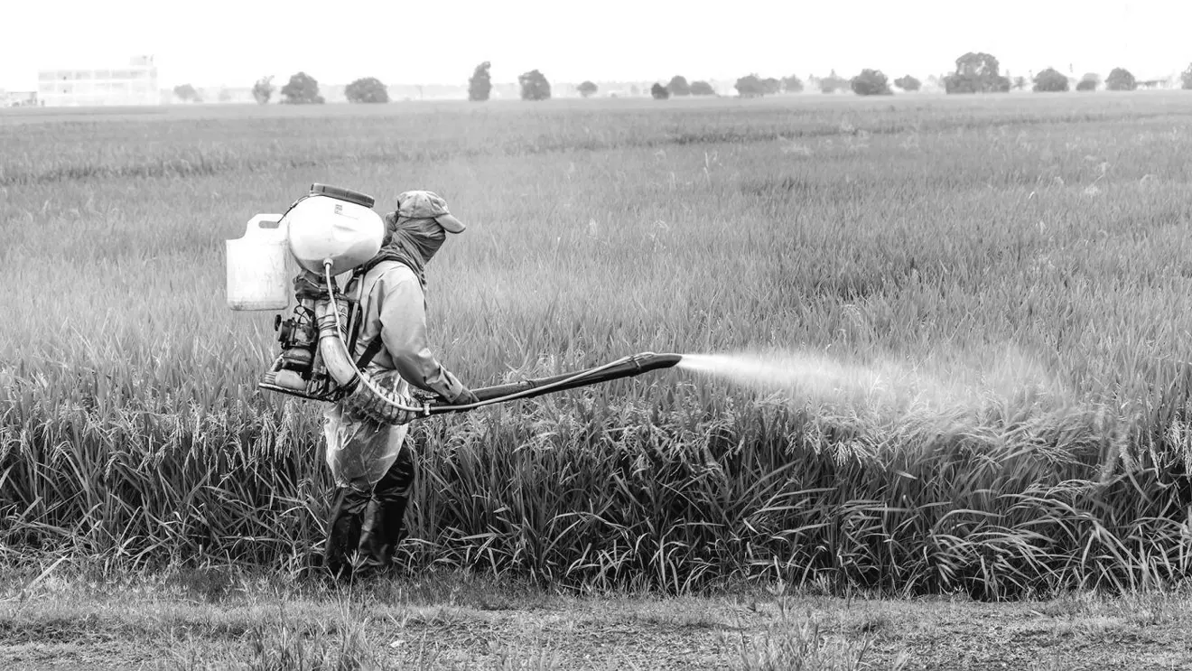 an old photo of a farmer using a backpack sprayer on the farm