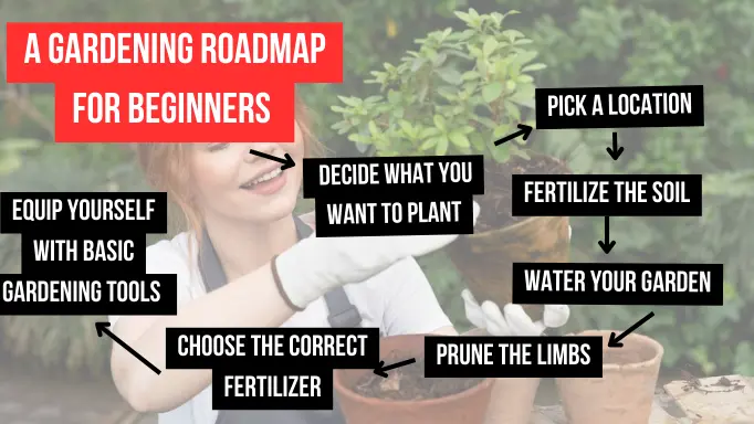 An infographic on gardening tips for beginners