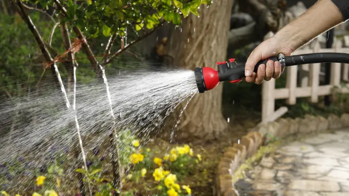 Using a Ronix sprayer to water the garden 