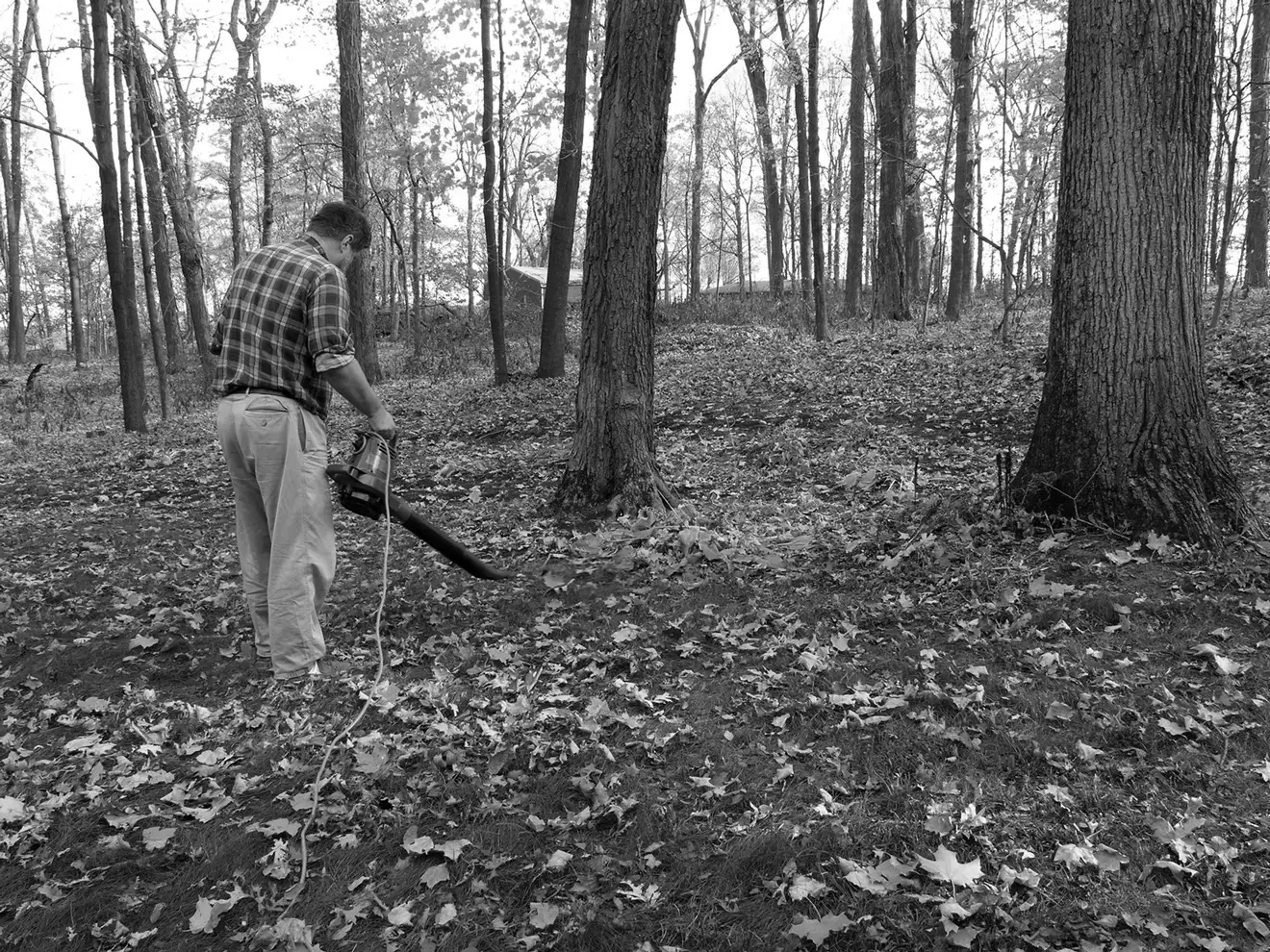 A black-and-white photo of a man using corded leaf blower in a forest