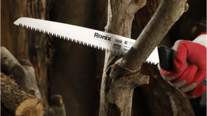 Pruning the limbs using a Ronix pruning saw 