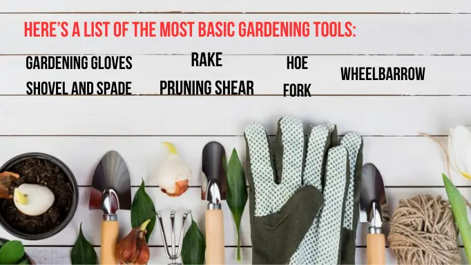 An infographic list of the gardening tools for beginners 