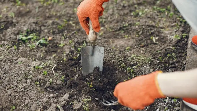 A man using a trowel to dig into the soil