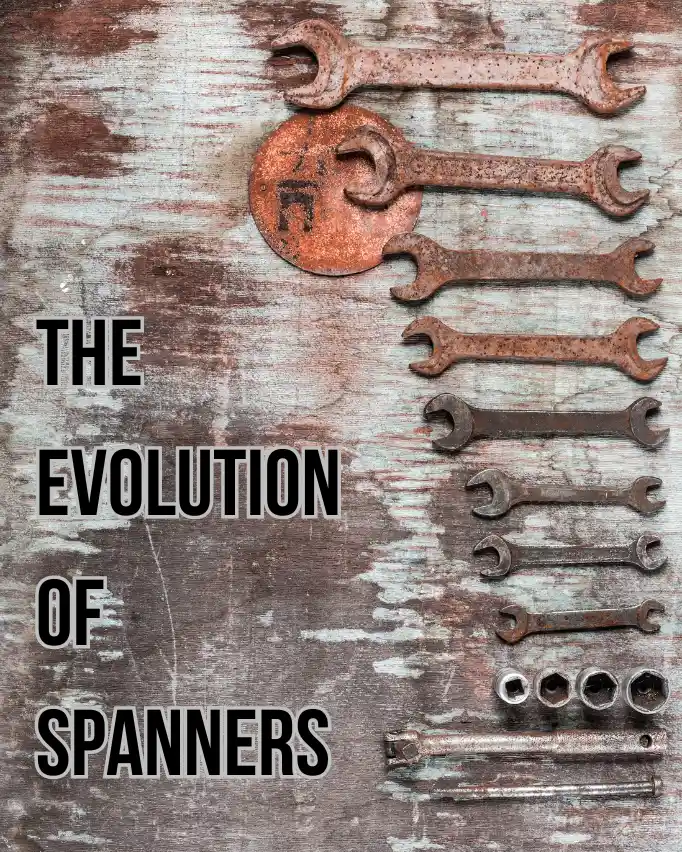 the evolution of spanners