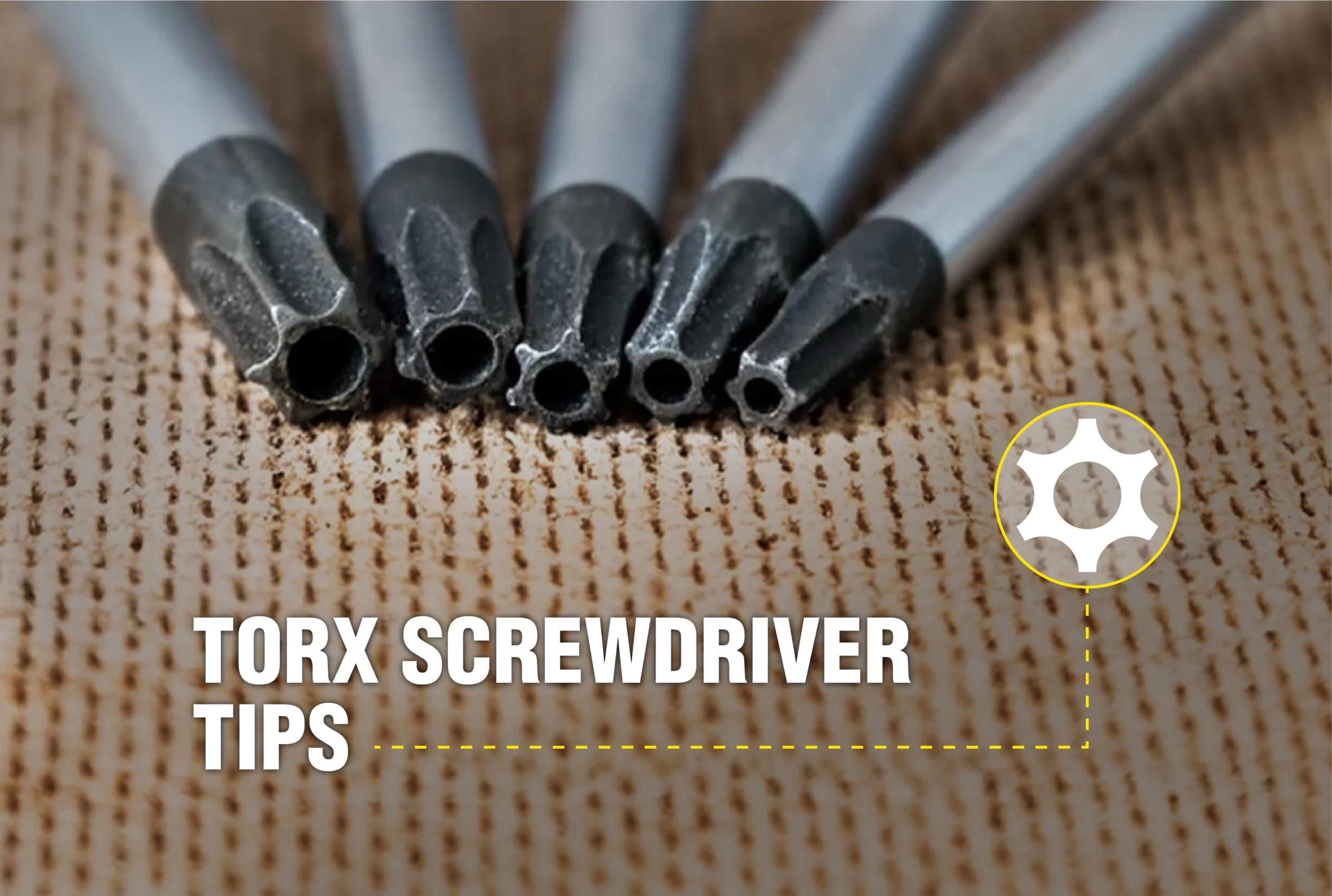 A close-up of Torx screwdrivers tips