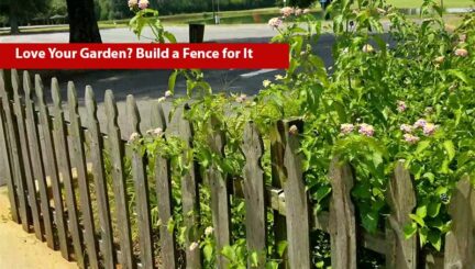 Build a wooden fence for the garden