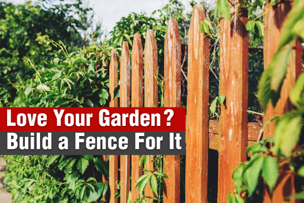 Build a wooden fence for the garden