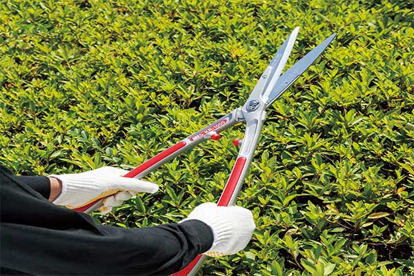 ARS HS-KR1000 Professional Hedge Shears