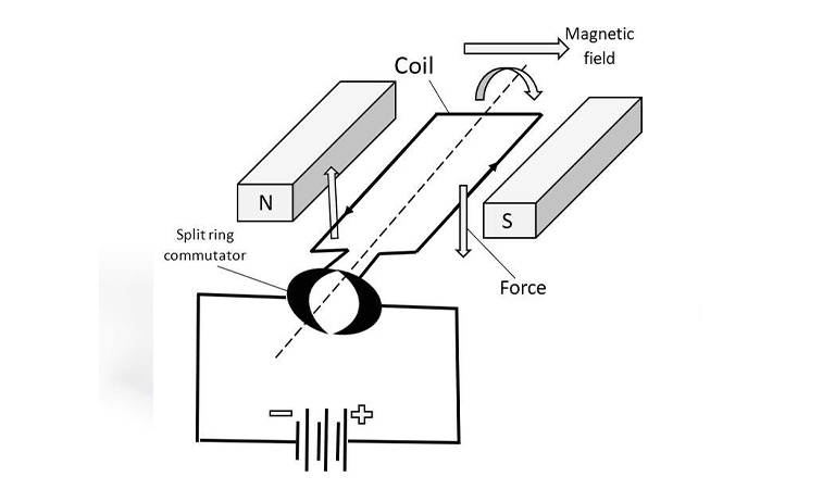 Diagram  carbon brush