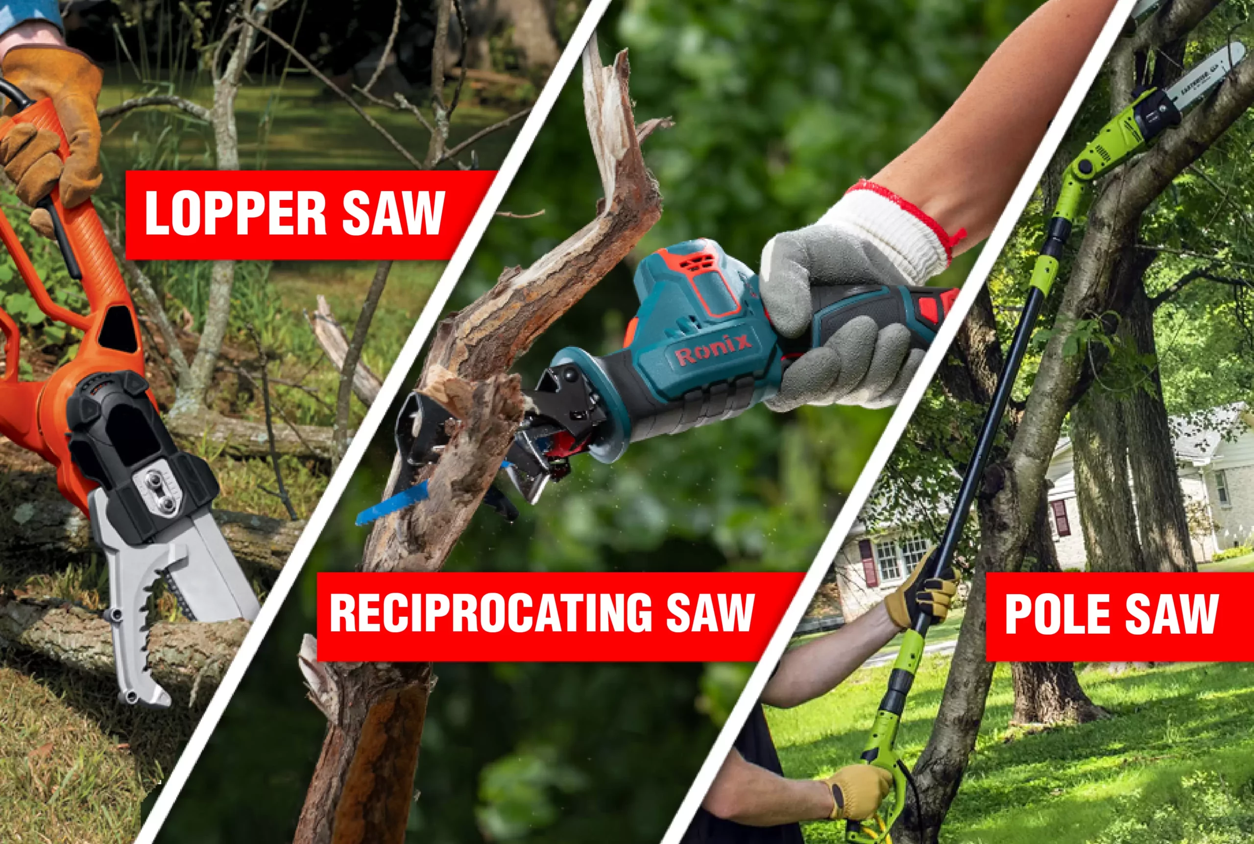 Best cordless saw online for cutting tree branches