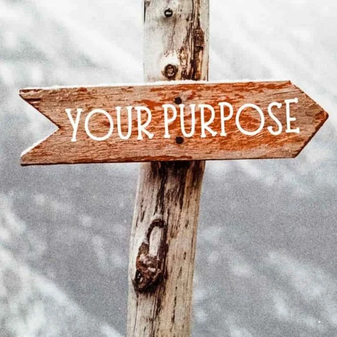 picture of a tree having your purpose sign on it