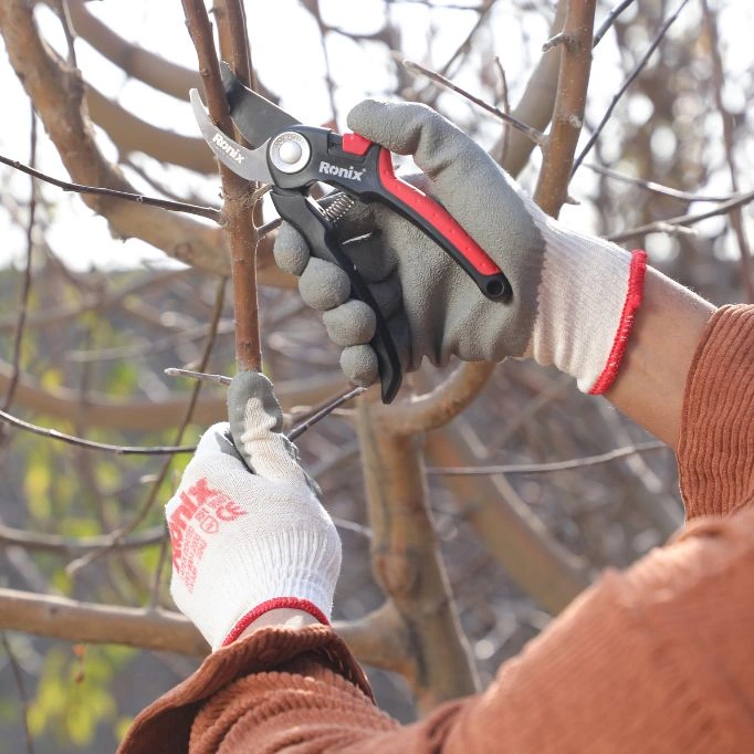Best Hand Tool for Clearing Brambles