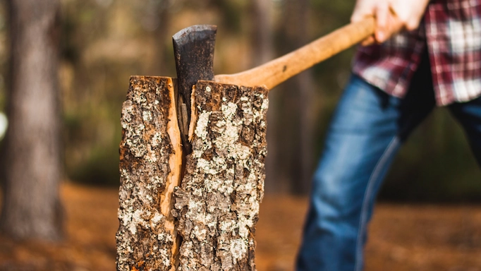 A double-bitted axe is used to split a tree stump