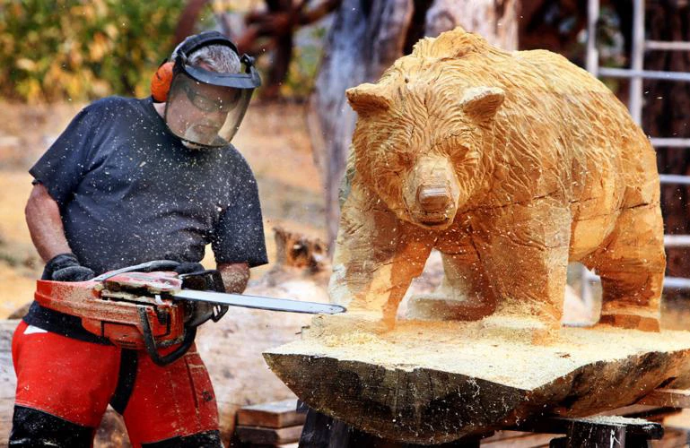 Best Chainsaw for Carving