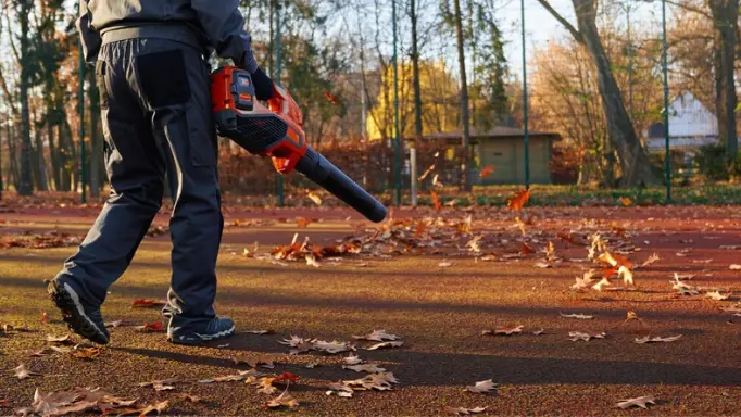 A man using a high-quality leaf blower to clean a large yard