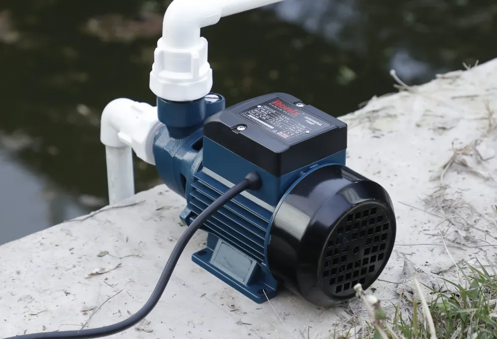 Ronix utility pump by the pool