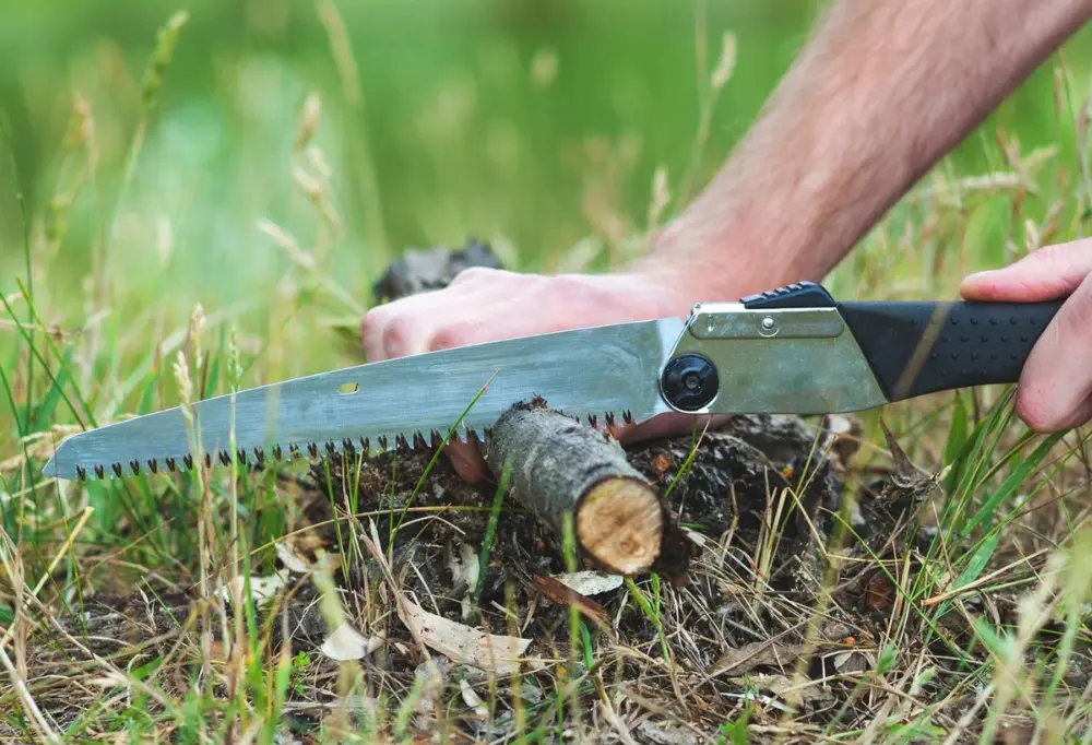 a folding camping hand saw