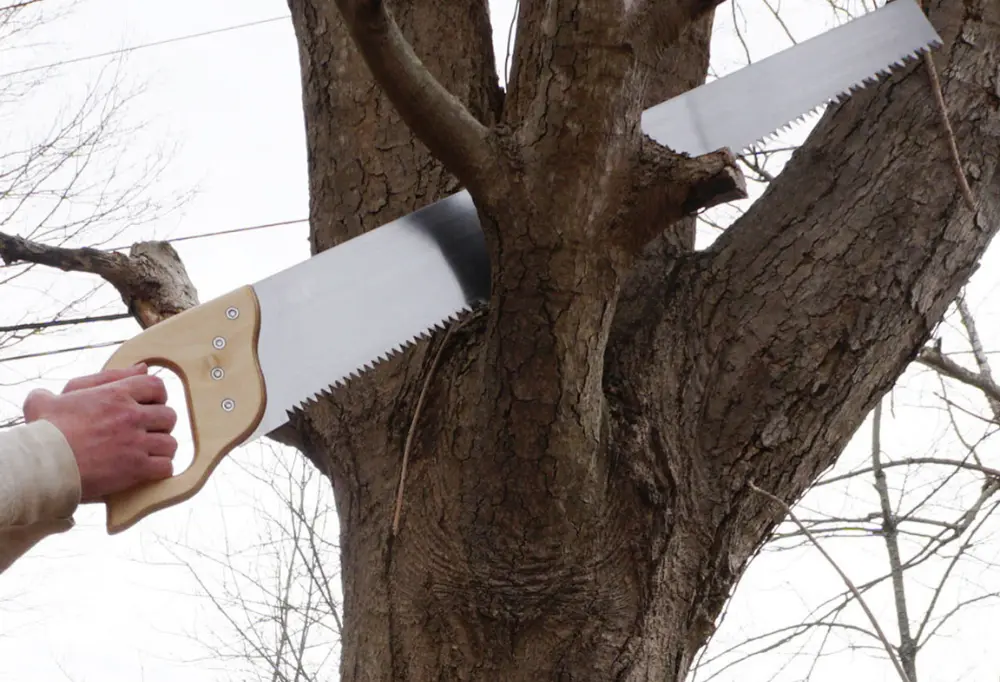 hand saw being used to cut a branch