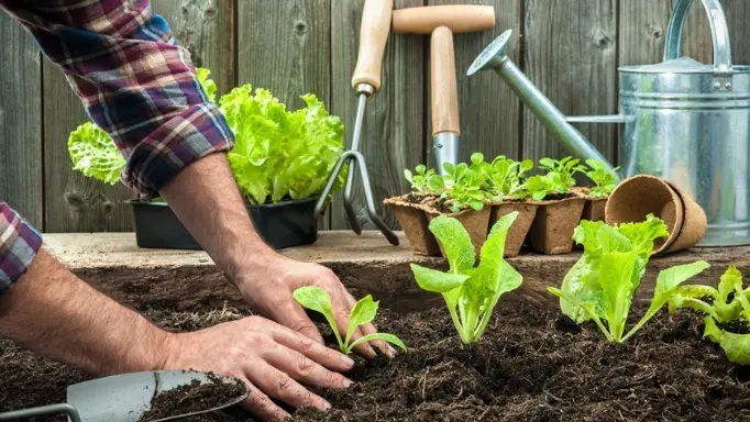 a gardener planting with a trowel, a fork and a watering can in the background 