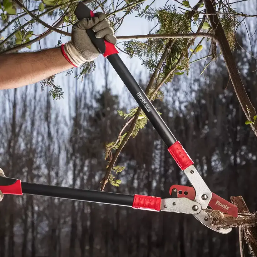 cutting a branch using one of Ronix’s pair of loppers