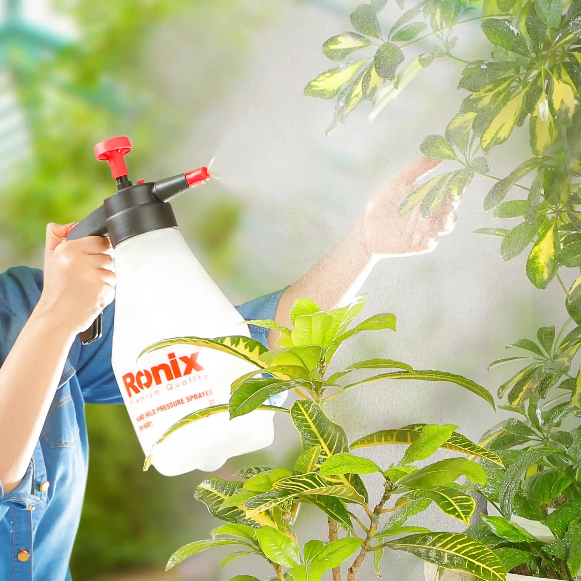 misting plants using a Ronix sprayer