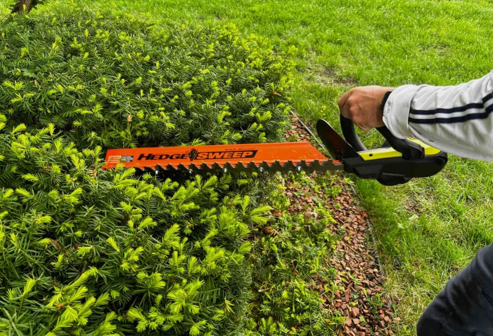 Hedge trimmer in action