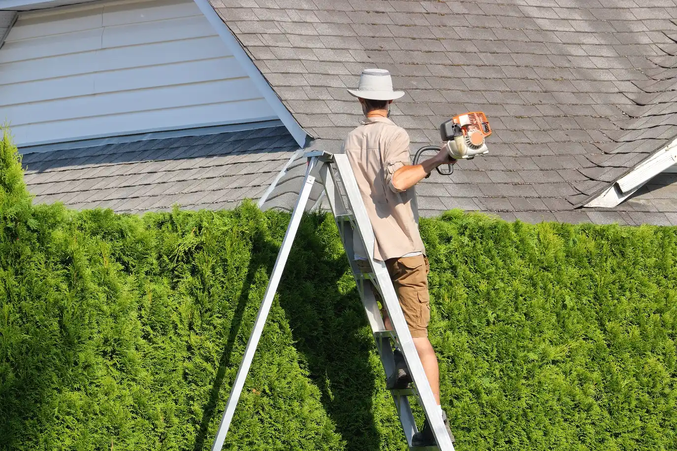 A Man using a gas hedge trimmer for trimming yard hedges