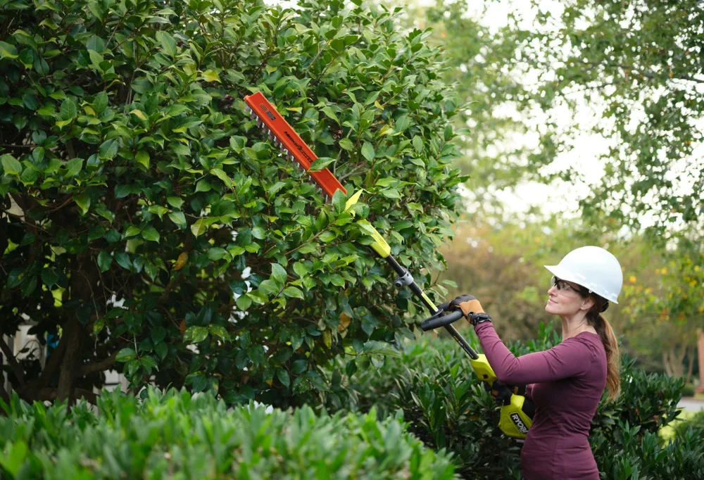 a telescopic hedge trimmer