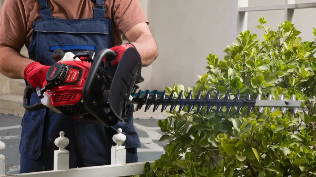 best gas hedge trimmer