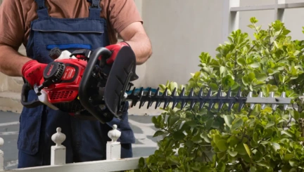 best gas hedge trimmer