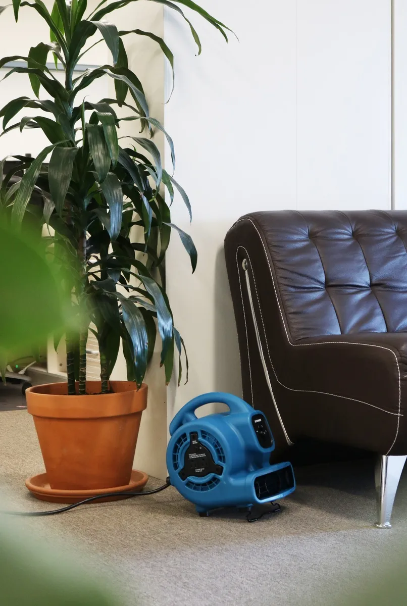 A corded air blower in a house