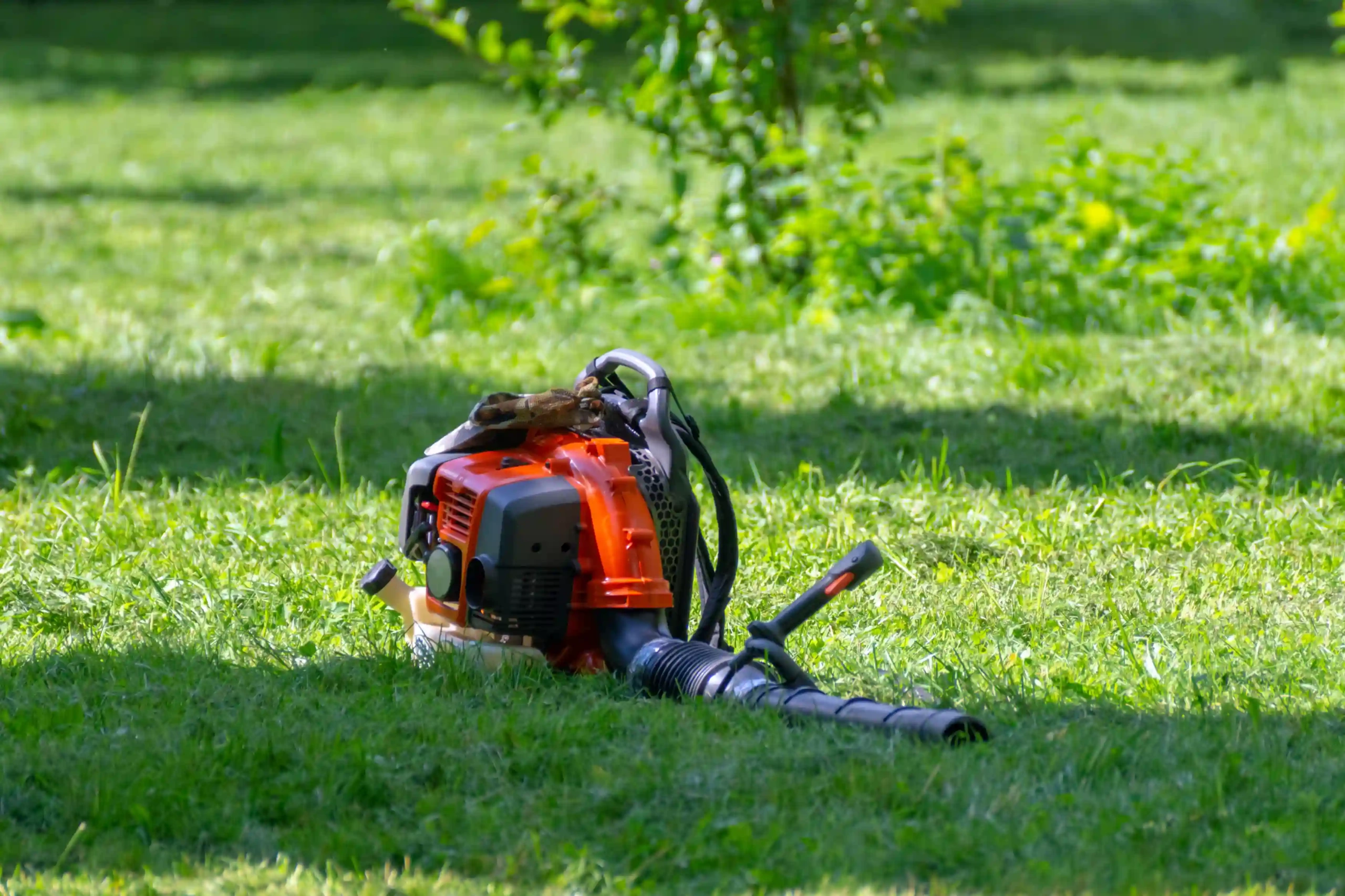 A Gasoline-powered air blower