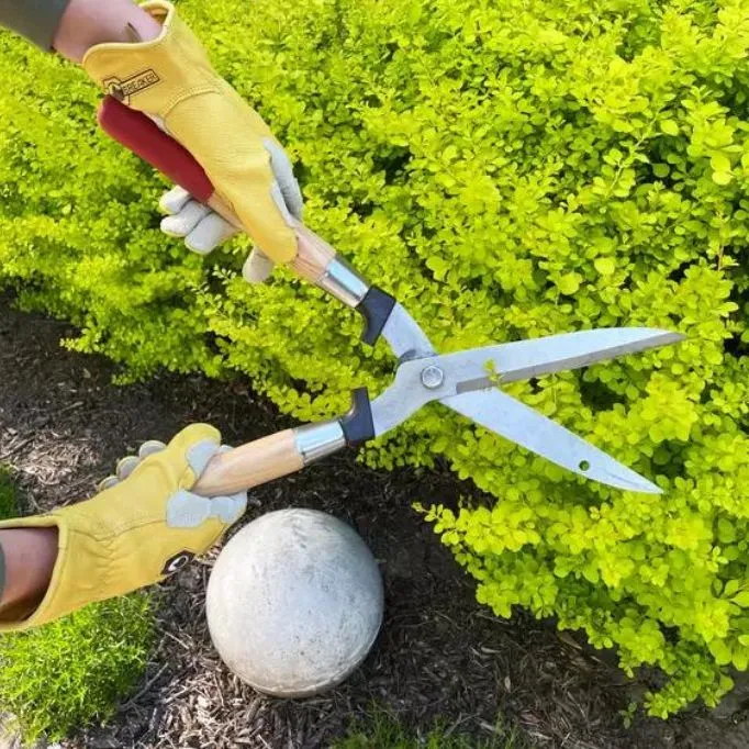 picture of best work gloves for landscaping