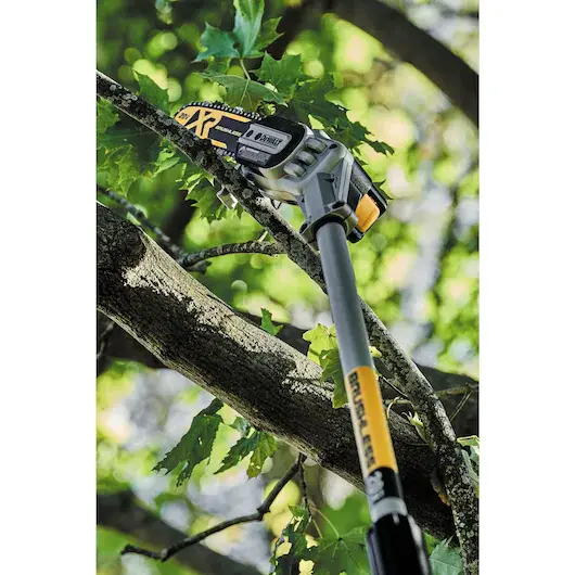 picture of Dewalt pole chainsaw