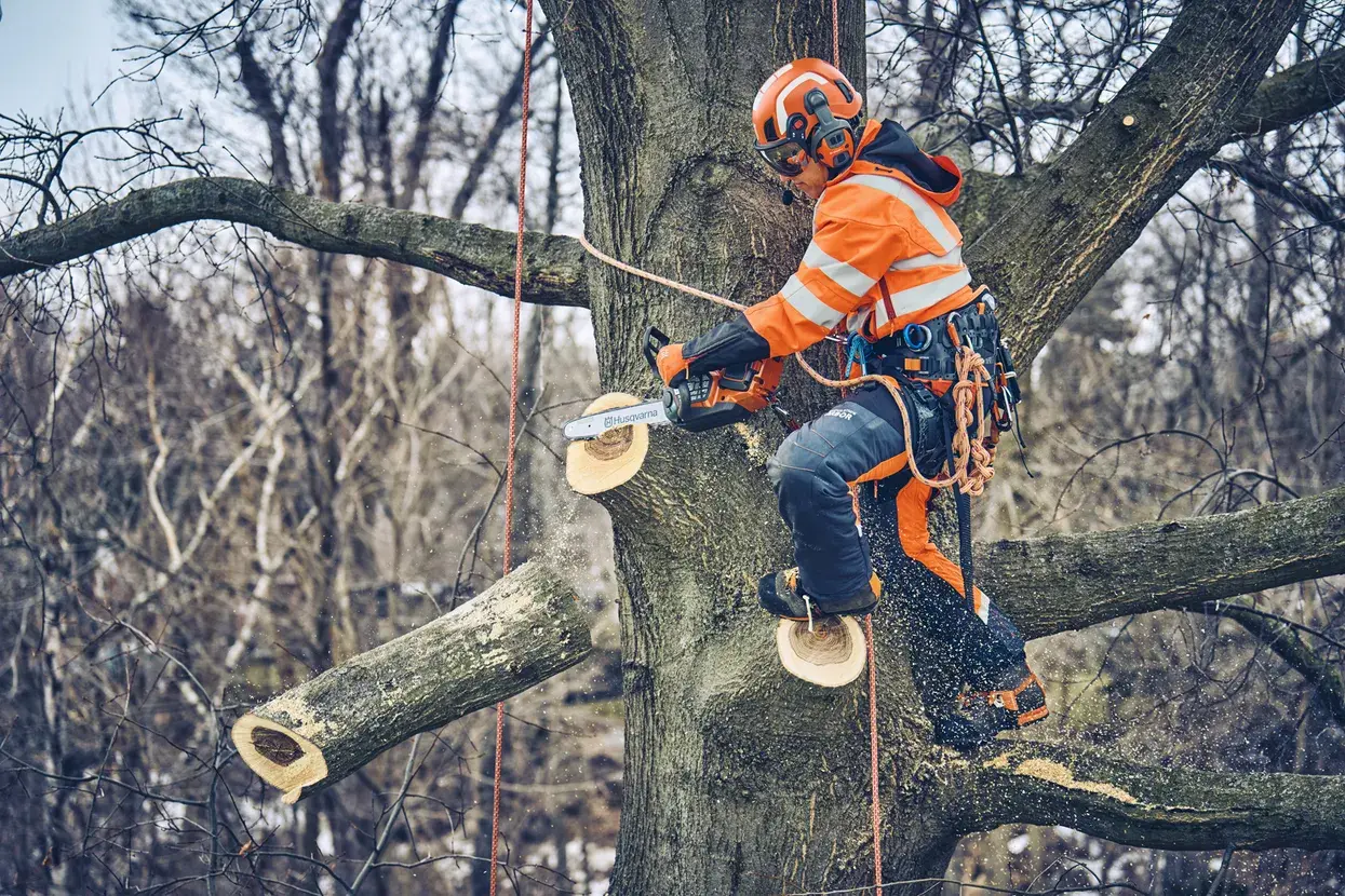 picture of a person using a Husqvarna chainsaw