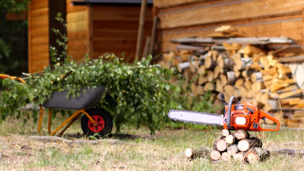 Best Chainsaws for Home Use