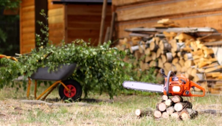 Best Chainsaws for Home Use