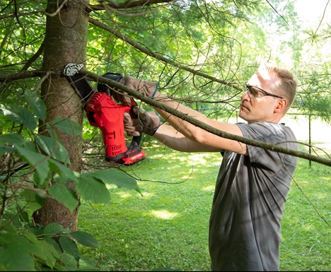 picture of a person using the Craftsman Battery Pruning Saw Kit