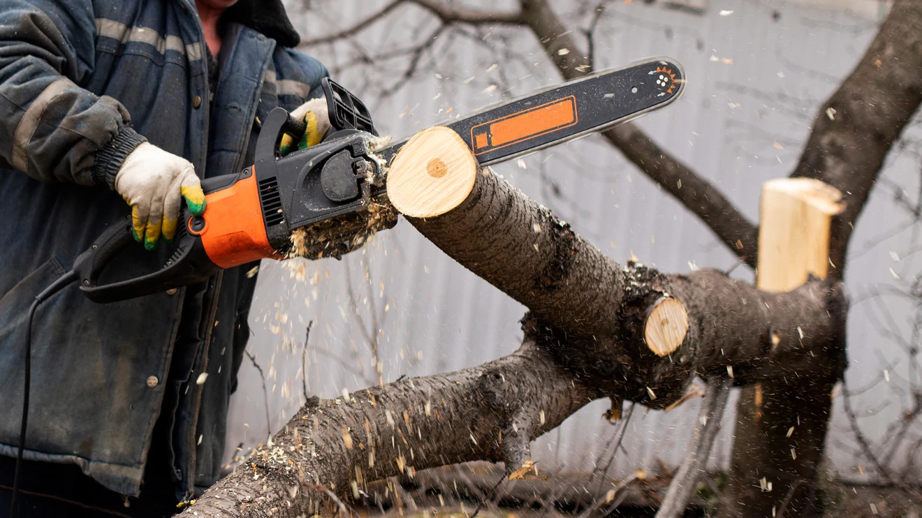 An operator is cutting wood with an electric chainsaw