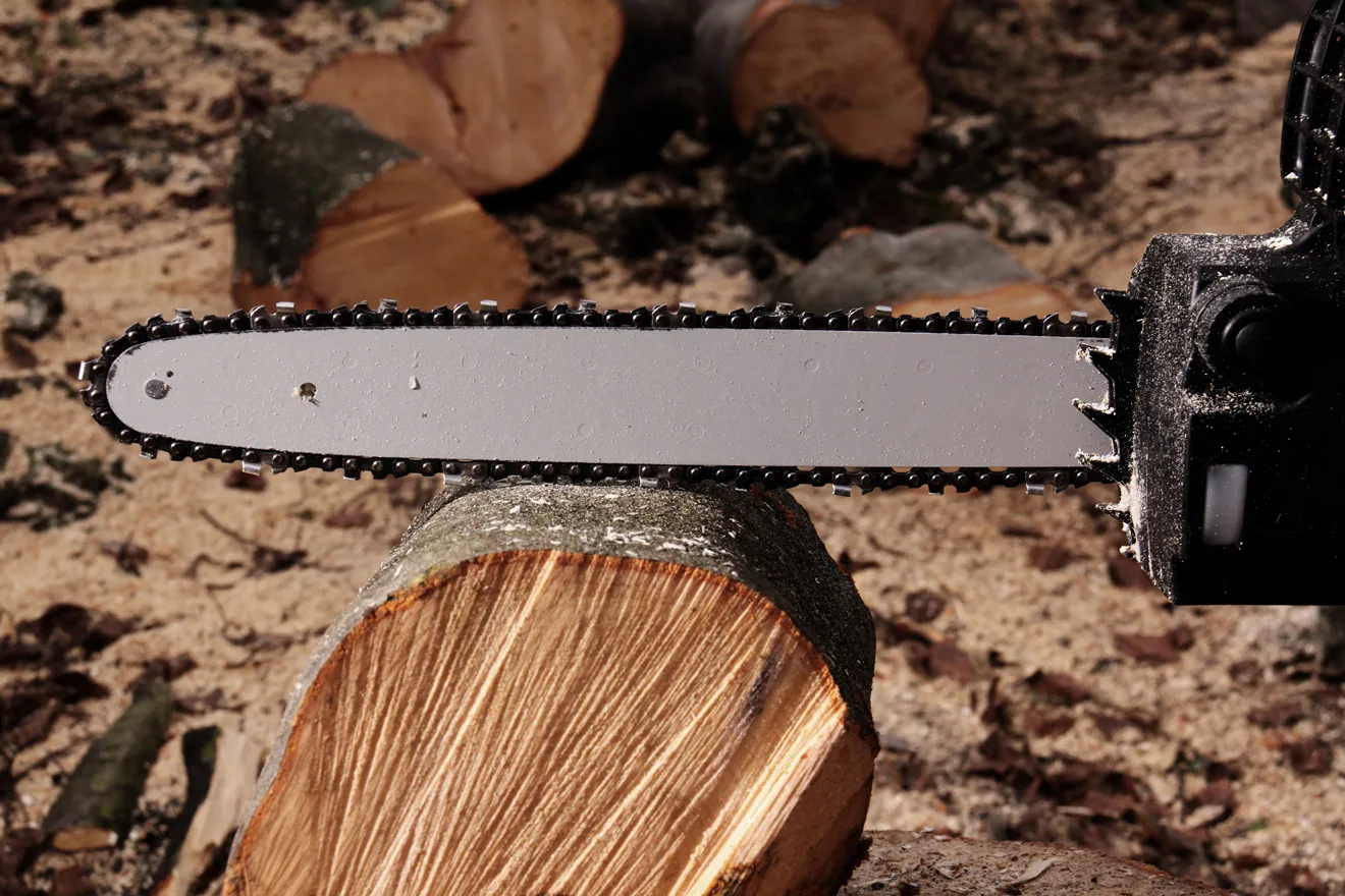 A photo of the guide bar in the best chainsaw for homeowner