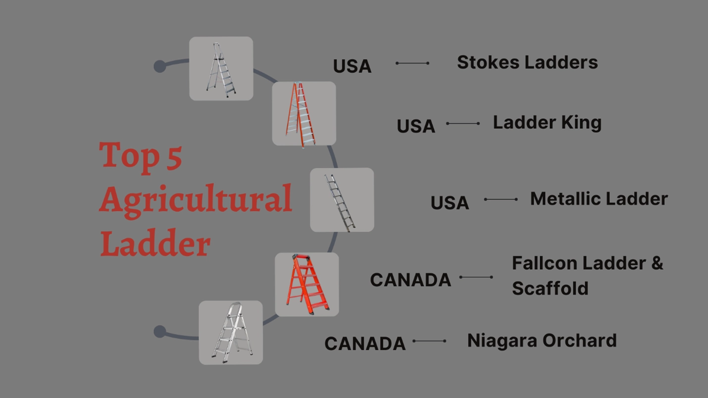 A Picture of Top 5 Agricultural Ladder