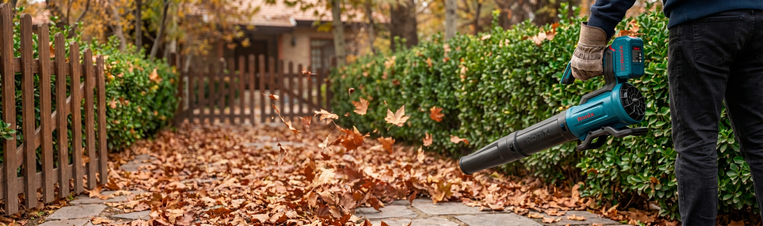 picture of Ronix leaf blower