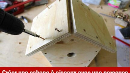 Créer-une-cabane-à-oiseaux-avec-une-perceuse perceuse électrique-min
