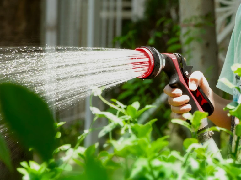 Sprayer