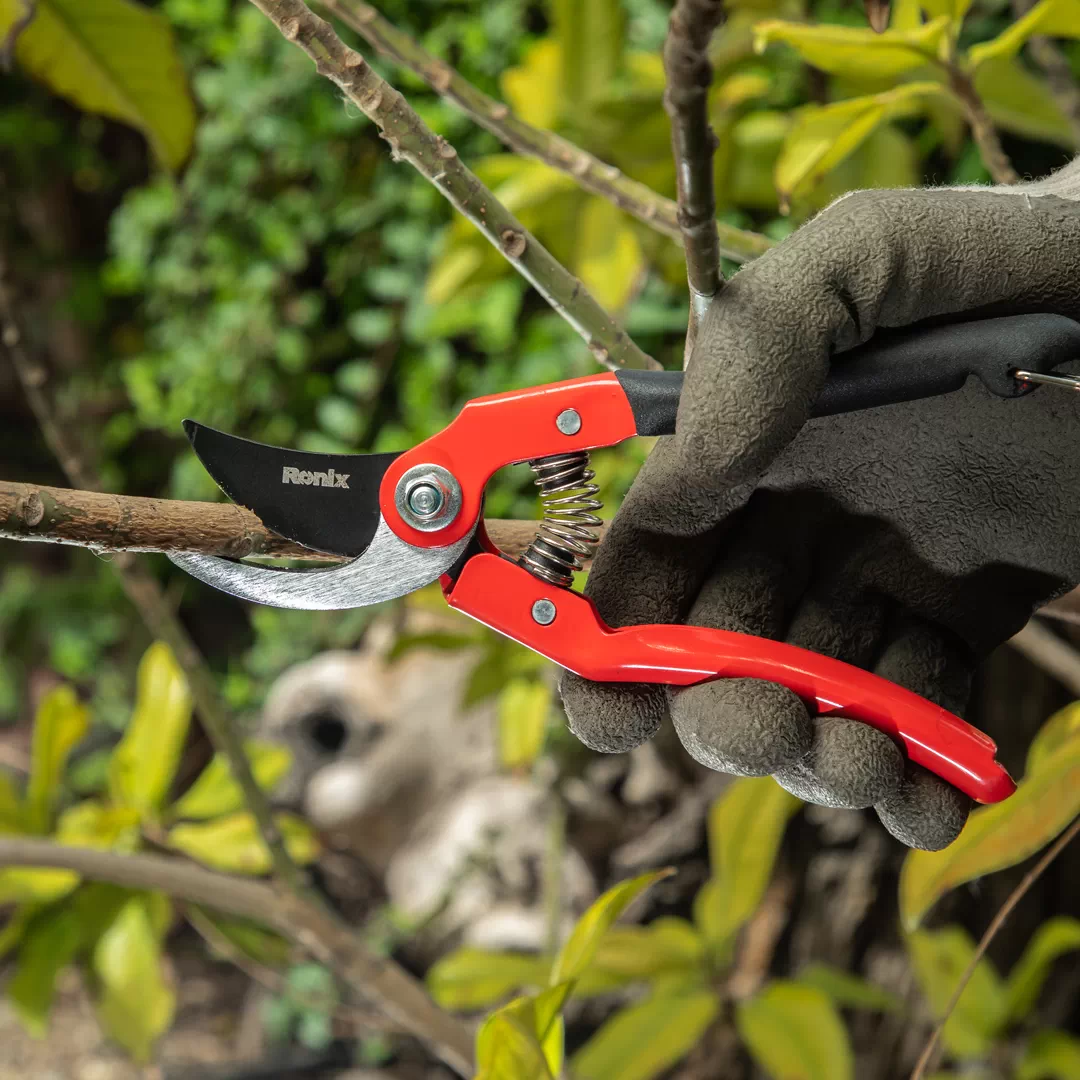 Pruning shear-Speedo model-1
