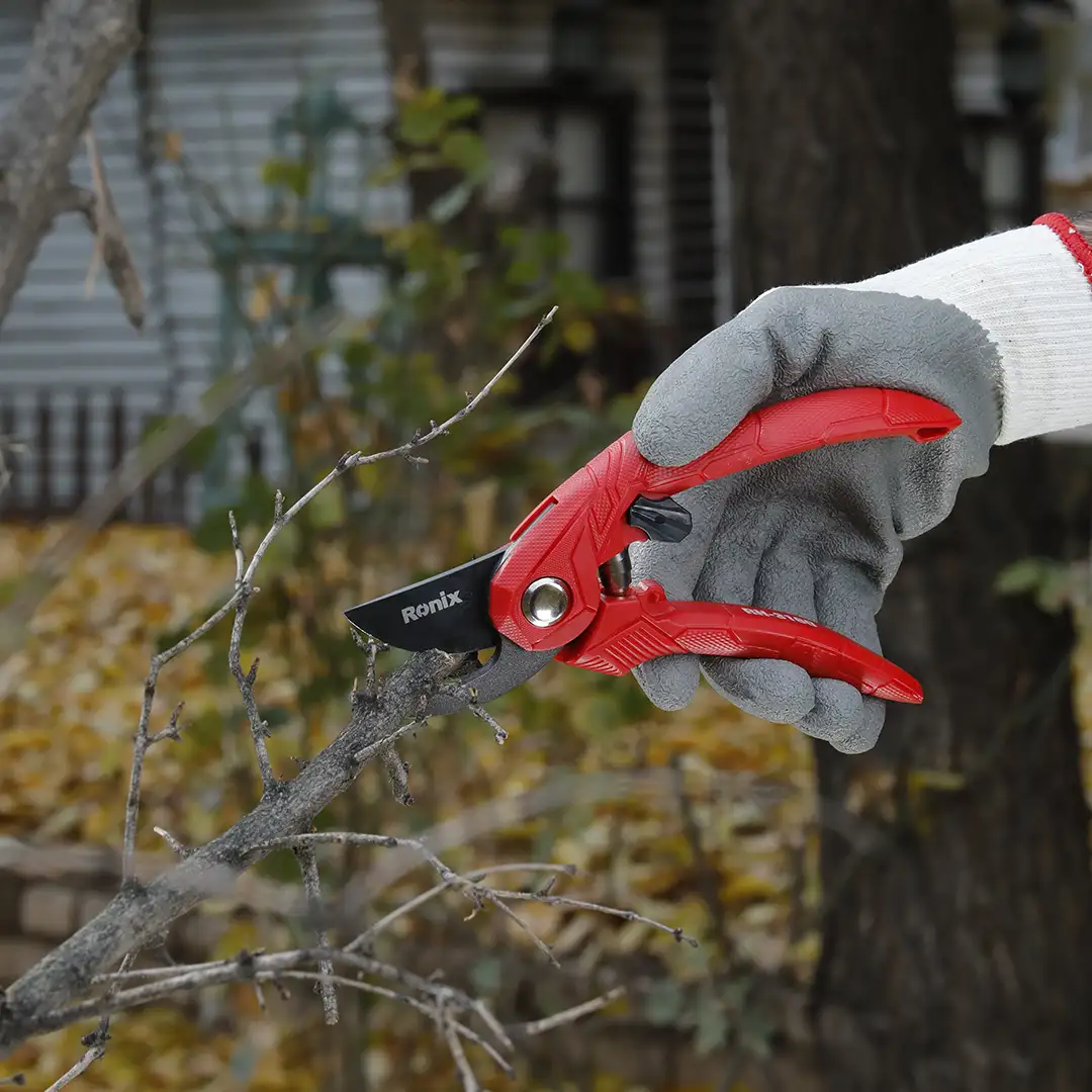 Pruning Shears Spirint Model