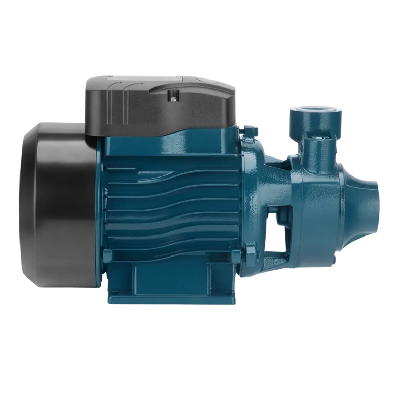 Selbstansaugende Pumpe 1 PS