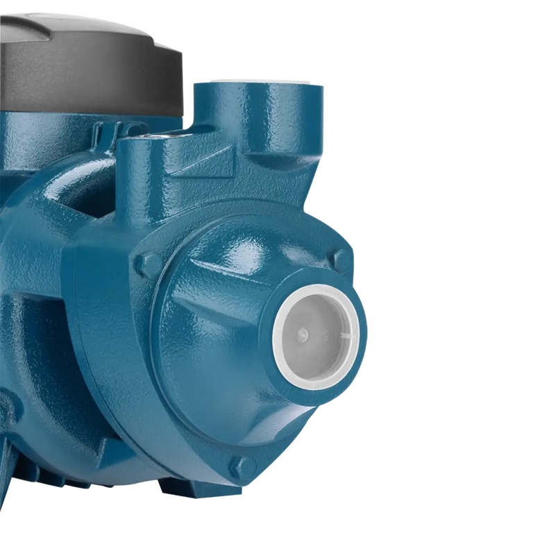 Selbstansaugende Pumpe 1 PS