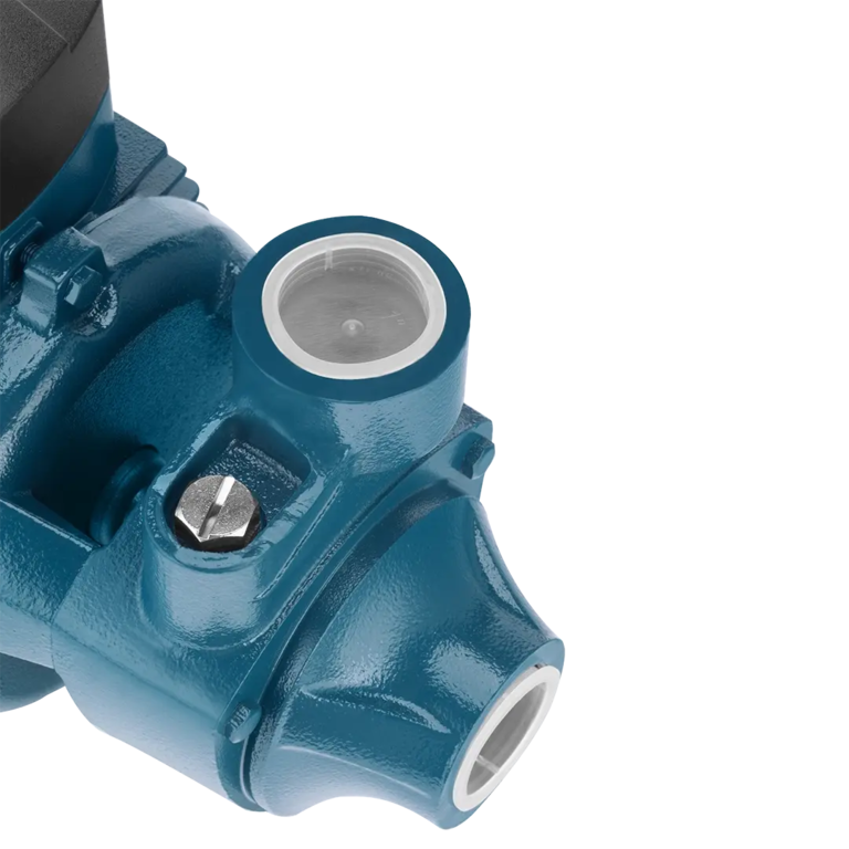 Selbstansaugende Pumpe 1 PS