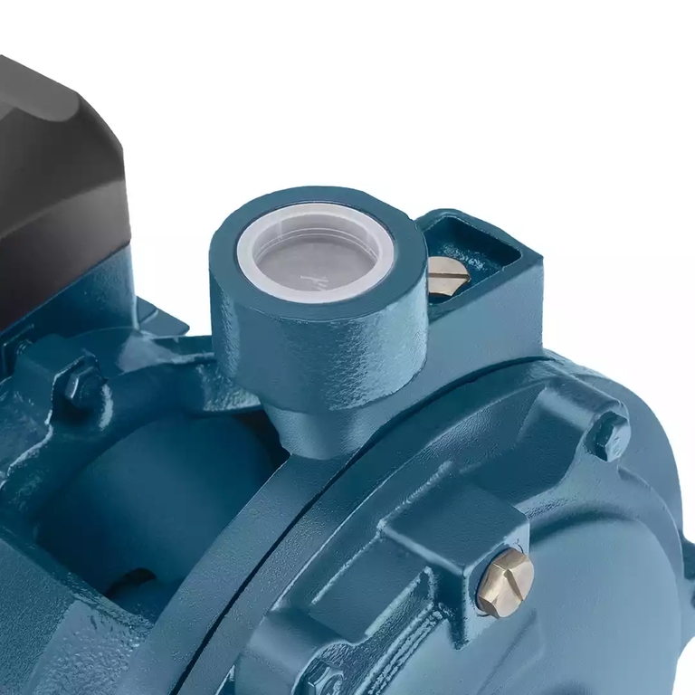 Self priming pump 2HP